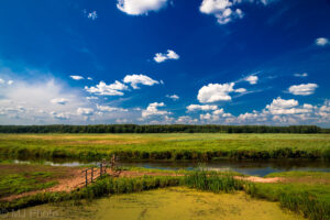 Paysage et rivière forêt Birmanie